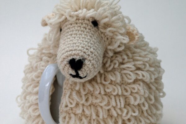 Woolly Chic Designs