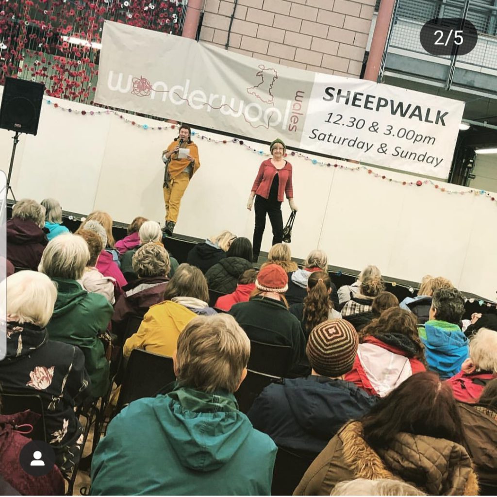 Wonderwool_Wales_SheepWalk