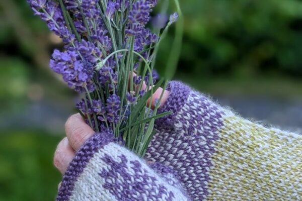Lavender Fields Fingerless Mitts